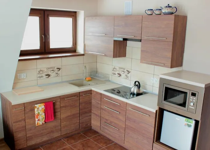 Tatria Pensjonat Dzianisz